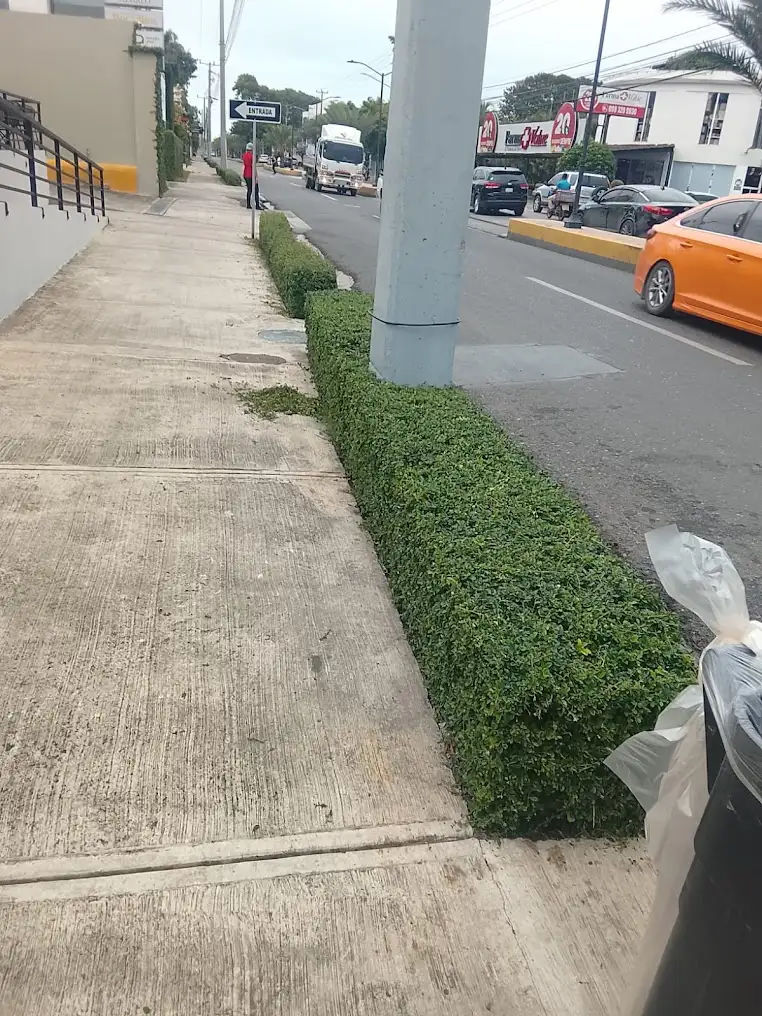 Poda de árboles en Plaza Paseo, Puerto Plata