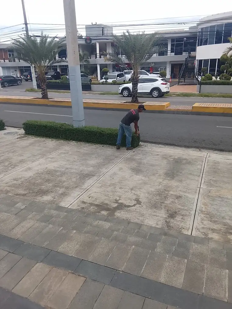 Mantenimiento exterior y poda de árboles en Plaza Paseo, Puerto Plata
